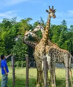 BRO血洗DFM,Kanavi拿下关键大龙宿命之战四强赛,技惊四座 BRO血洗DFM,Kanavi拿下关键大龙宿命之战四强赛,技惊四座